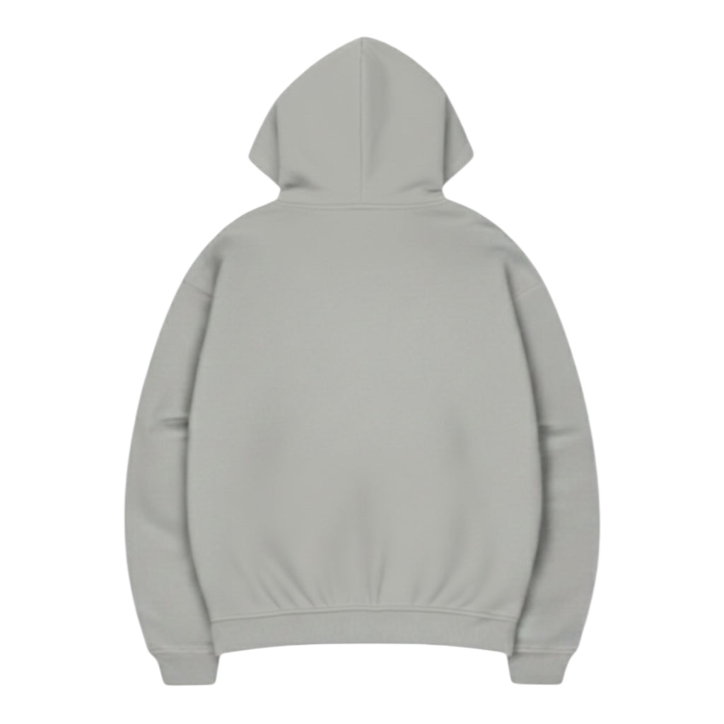 BASIC HOODIE (APSHALT)